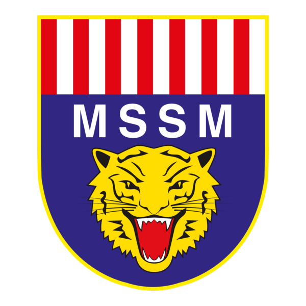 MSSM